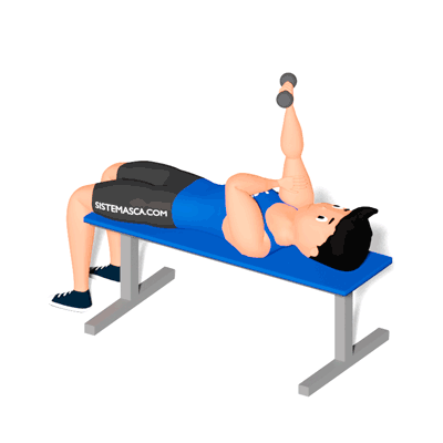 Tríceps Testa Unilateral com Halter
